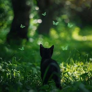 人进入马的水门正确做法
